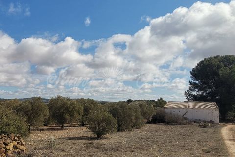 Landejendom i Yecla, Murcia, Yecla - € 49.995 | Ref: SF0390 - foto 2
